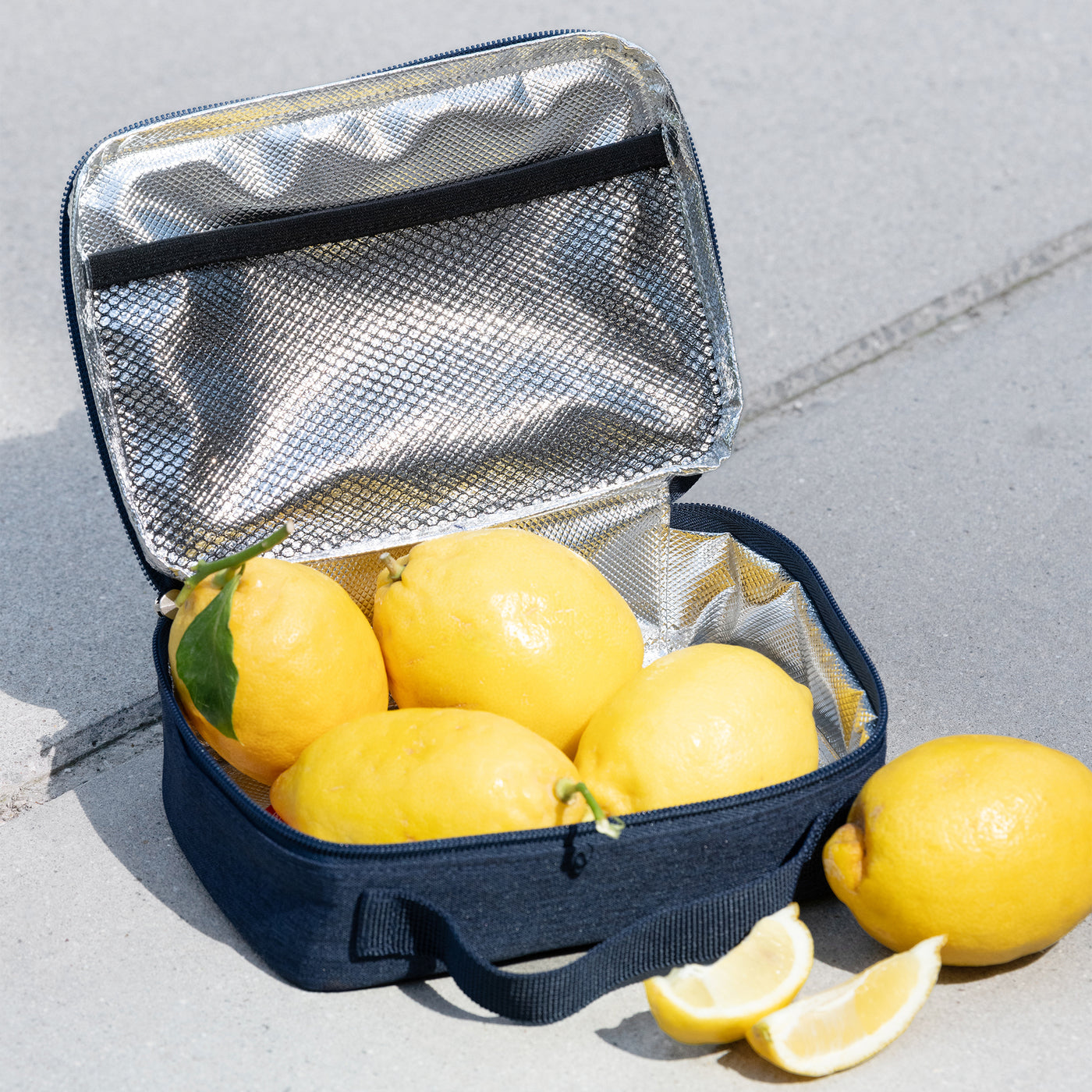 thermocase twist navy thermocase Reisenthel